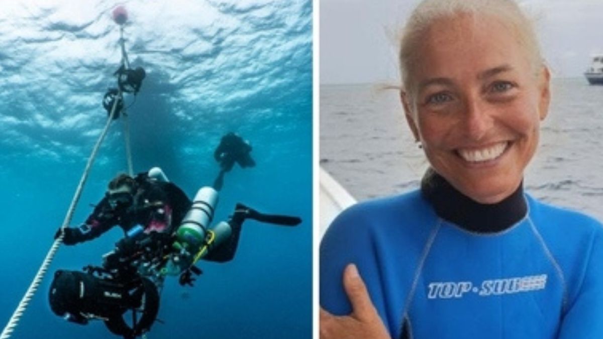 maldive il testimone racconta tutto non erano autorizzati8230 svolta inaspettata da Thesocialpost.it maldive il testimone racconta tutto non erano autorizzati8230 svolta inaspettata