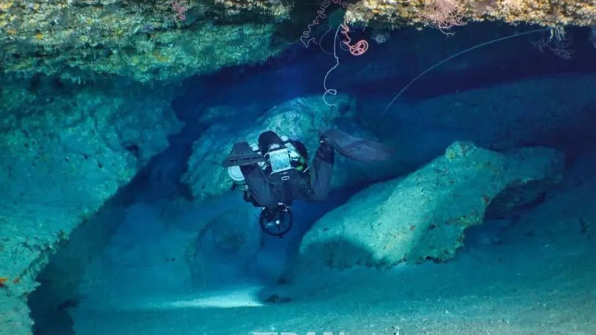 maldive le immagini agghiaccianti dalla grotta i corpi trovati cos236 da Thesocialpost.it maldive le immagini agghiaccianti dalla grotta i corpi trovati cos236