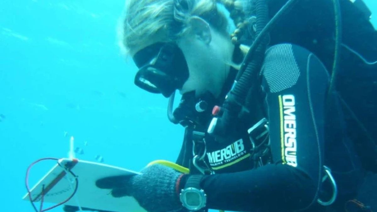 ingannati sono morti cos236 maldive la scoperta sugli ultimi istanti di vita degli italiani da Thesocialpost.it ingannati sono morti cos236 maldive la scoperta sugli ultimi istanti di vita degli italiani