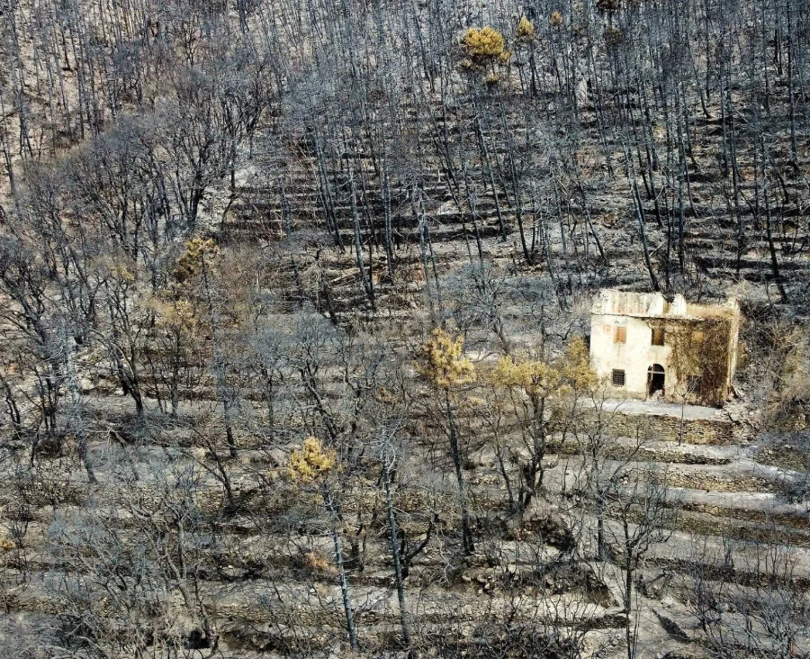 Evacuazione preventiva a San Giuliano Terme: area del Monte Faeta dopo gli incendi