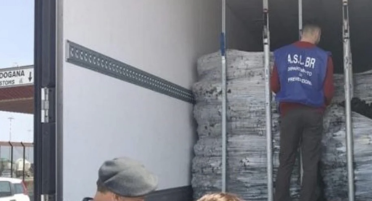 sono pericolose non mangiatele italia sequestrate 20 tonnellate di questo alimento attenzione da Thesocialpost.it sono pericolose non mangiatele italia sequestrate 20 tonnellate di questo alimento attenzione