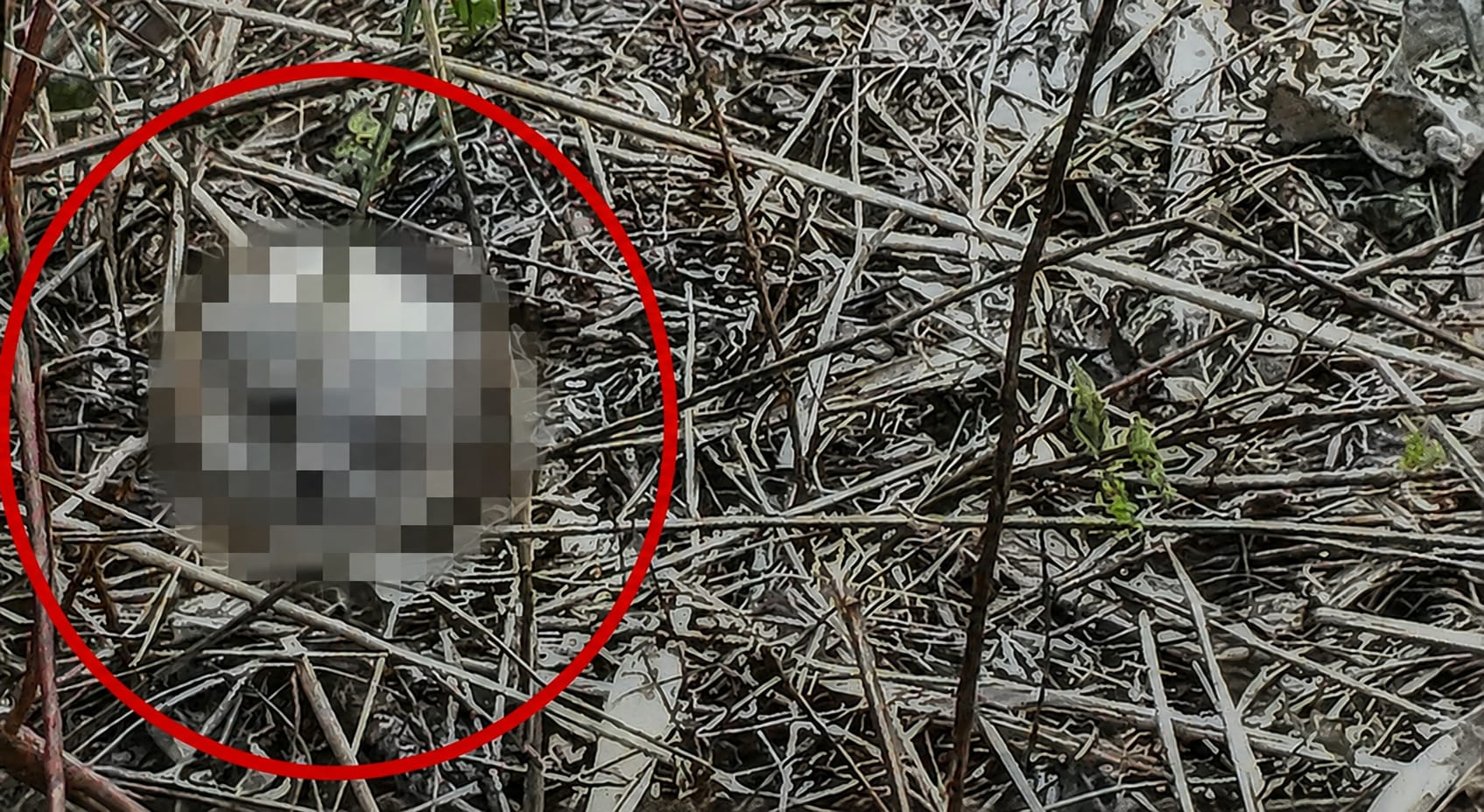italia ritrovamento shock 232 il teschio di una donna scoperta horror da Thesocialpost.it italia ritrovamento shock 232 il teschio di una donna scoperta horror
