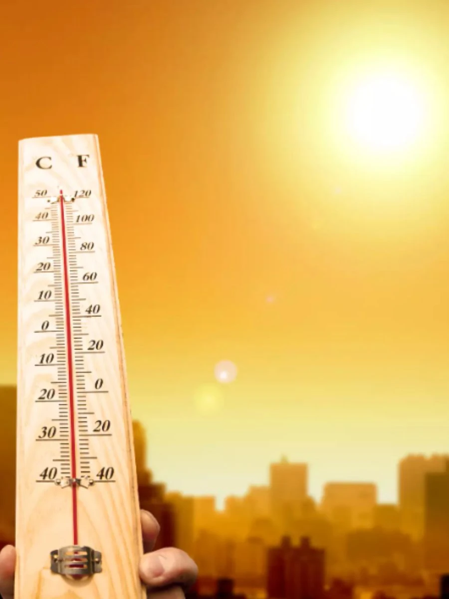 Caldo intenso e ondate di calore: temperature elevate e rischi climatici in aumento