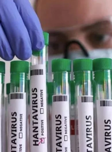Hantavirus: indicazioni e misure di prevenzione previste dalla circolare