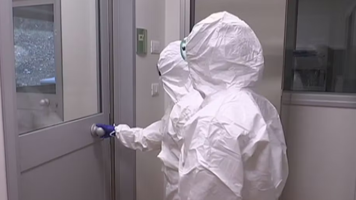 hantavirus l8217allarme degli esperti pu242 provocare epidemie anche gravi da Thesocialpost.it hantavirus l8217allarme degli esperti pu242 provocare epidemie anche gravi
