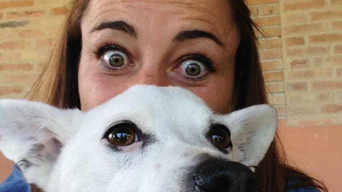 Eleonora Guareschi muore in vacanza, incidente in barca. Terribile