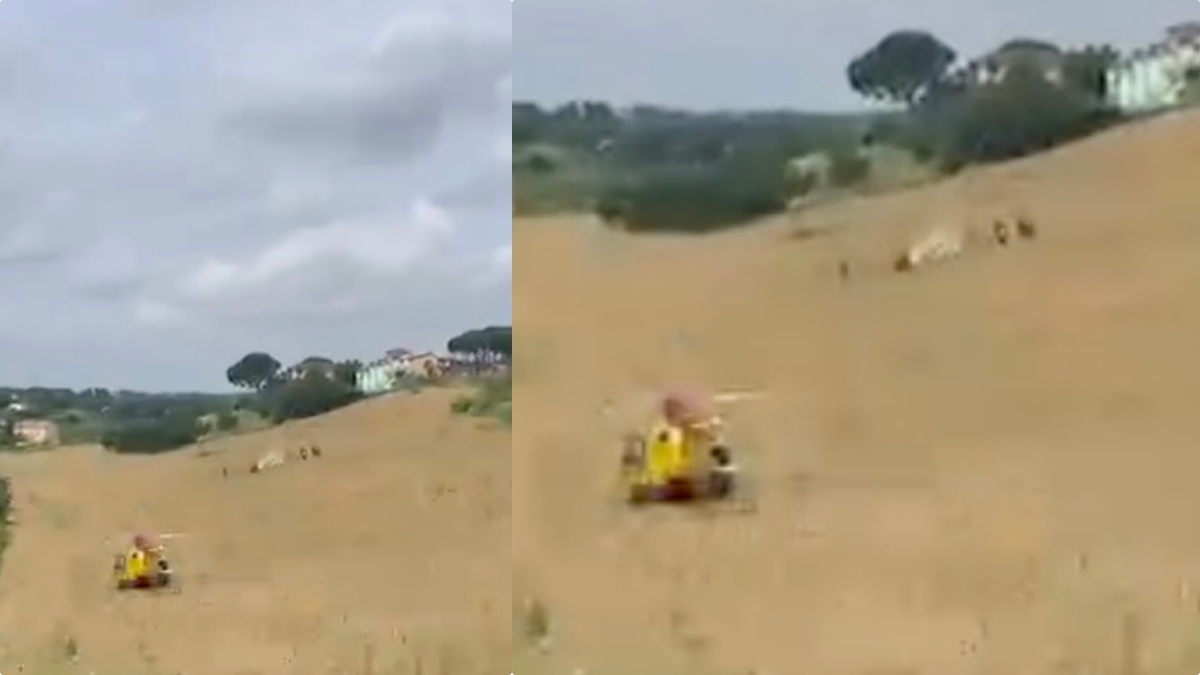 disgrazia nei cieli italiani perde quota e si schianta nel terreno soccorsi in azione da Thesocialpost.it disgrazia nei cieli italiani perde quota e si schianta nel terreno soccorsi in azione