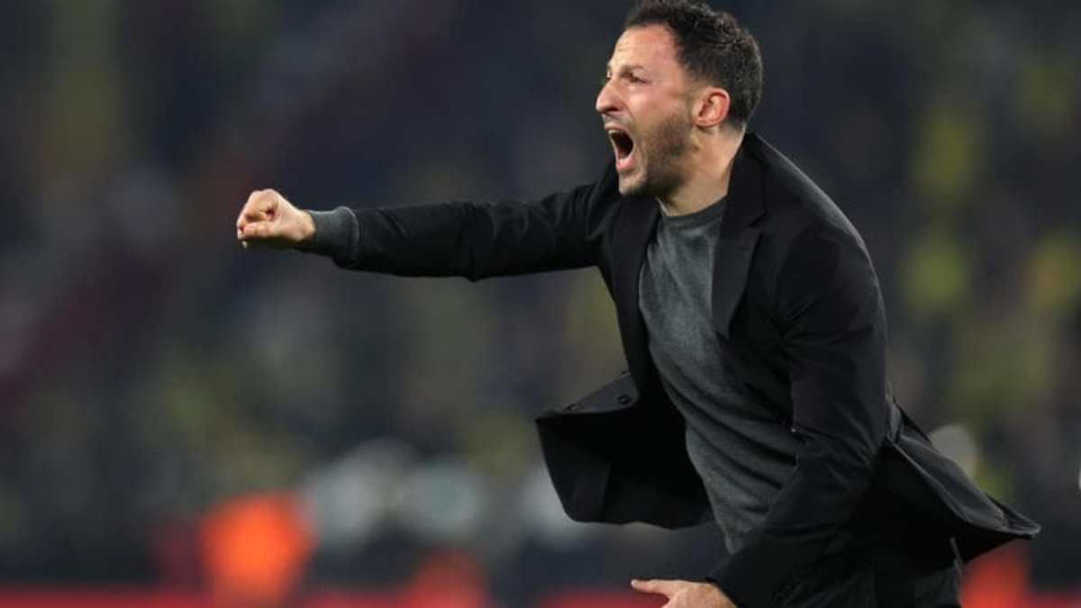 la prima volta in serie a 232 ufficiale il bologna ha scelto il dopo italiano da Thesocialpost.it la prima volta in serie a 232 ufficiale il bologna ha scelto il dopo italiano