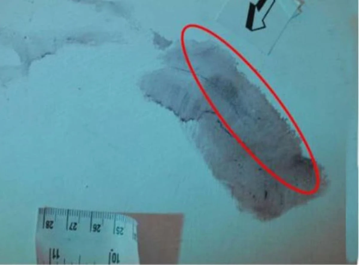 Impronta al centro delle nuove verifiche sul caso Garlasco