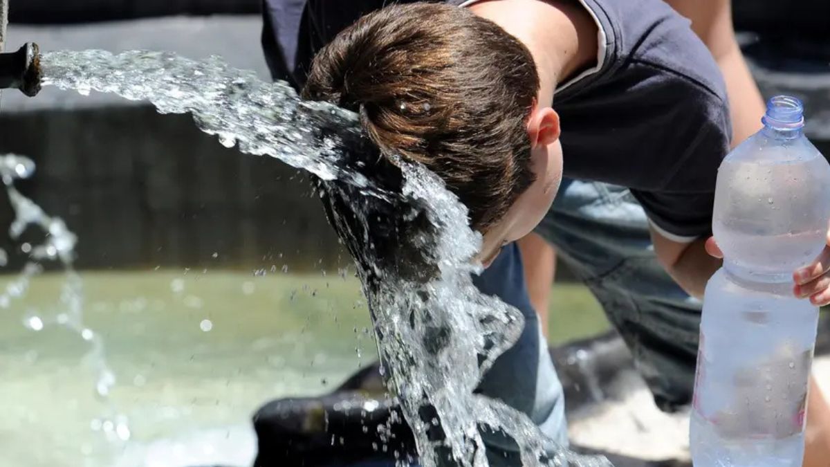 punte di 50 gradi caldo record in italia tutte le citt224 da bollino rosso da Thesocialpost.it punte di 50 gradi caldo record in italia tutte le citt224 da bollino rosso