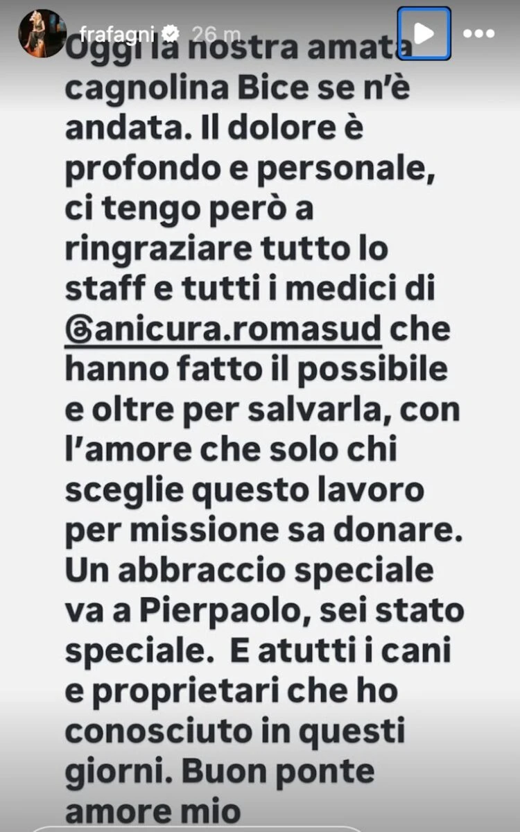 Enrico Mentana con le sue cagnoline, scatto condiviso online