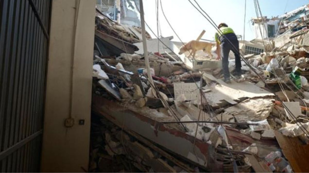 Crollo della palazzina, arriva il riconoscimento ufficiale: chi è la vittima tra le macerie