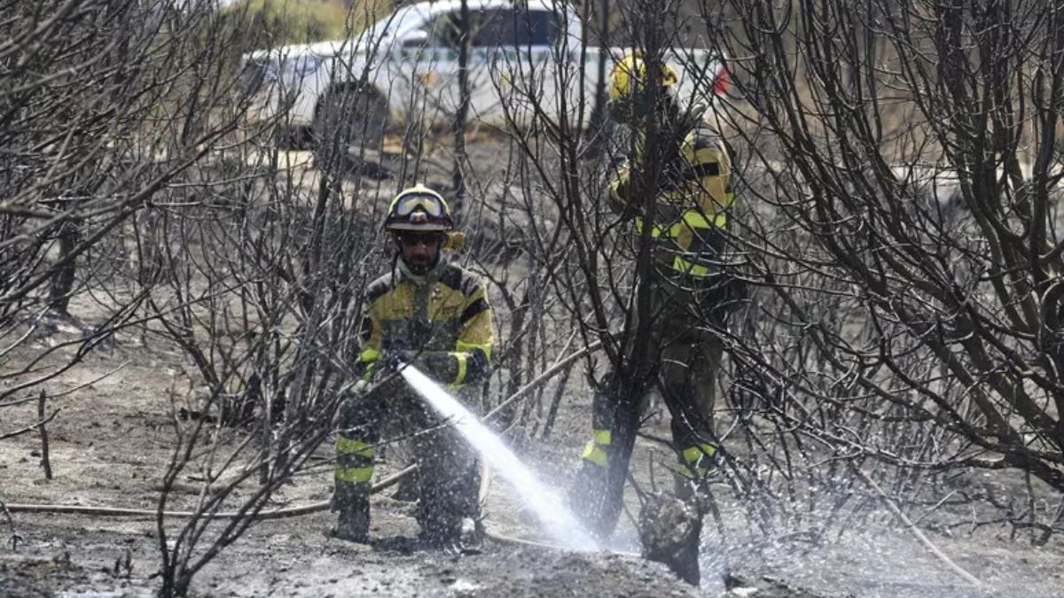 spagna vasto incendio a nord di madrid oltre 13mila ettari in fiamme evacuate centinaia di persone da Thesocialpost.it spagna vasto incendio a nord di madrid oltre 13mila ettari in fiamme evacuate centinaia di persone