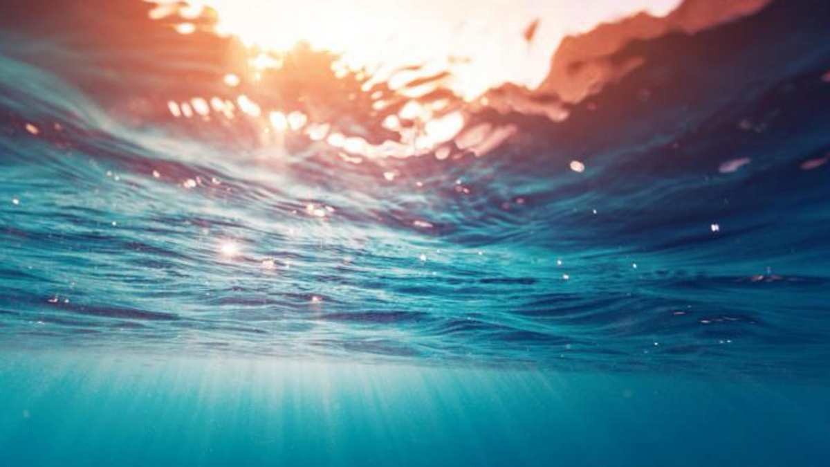 il mare non 232 mai stato cos236 caldo nuovo record globale copernicus lancia l8217allarme da Thesocialpost.it il mare non 232 mai stato cos236 caldo nuovo record globale copernicus lancia l8217allarme